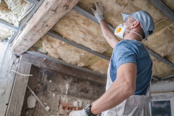 Best DIY Insulation Kits and Guidance in James City, NC