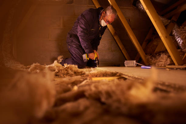 Best Residential Insulation in James City, NC