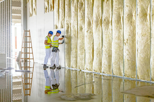 Best Geographic-Specific Insulation Services in James City, NC